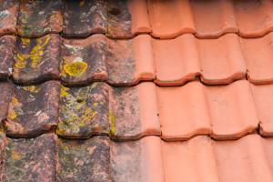 Orange tiled roof in the process of being cleaned